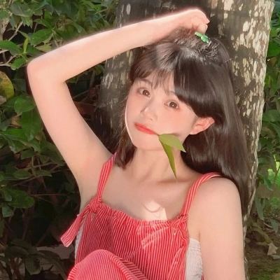 abc英语老鼠免费版下载